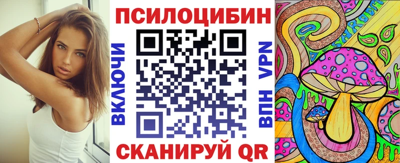 МЕГА онион  Шахунья  Галлюциногенные грибы ЛСД  где найти  